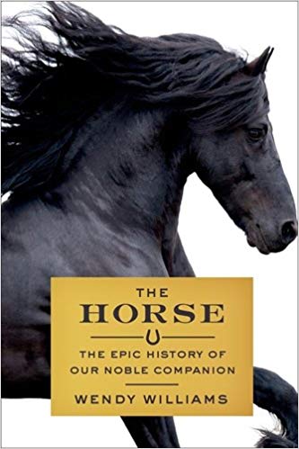 the horse by wendy williams the horse by wendy williams